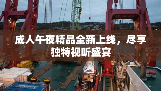 成人午夜精品全新上线，尽享独特视听盛宴