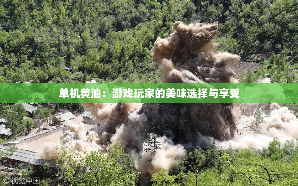 单机黄油：游戏玩家的美味选择与享受