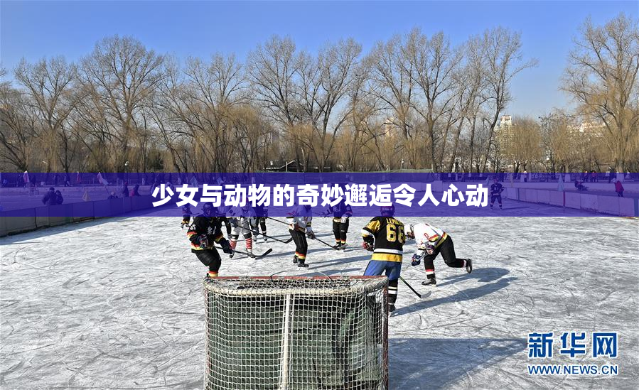 少女与动物的奇妙邂逅令人心动