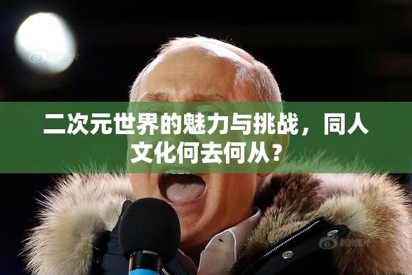 二次元世界的魅力与挑战，同人文化何去何从？
