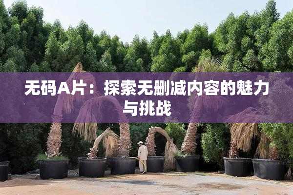 无码A片：探索无删减内容的魅力与挑战