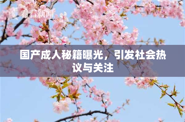 国产成人秘籍曝光，引发社会热议与关注