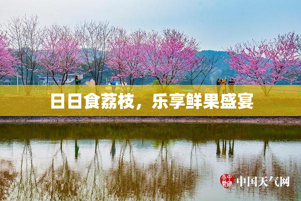 日日食荔枝，乐享鲜果盛宴