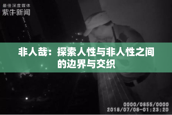 非人哉：探索人性与非人性之间的边界与交织