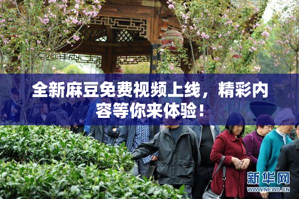 全新麻豆免费视频上线，精彩内容等你来体验！