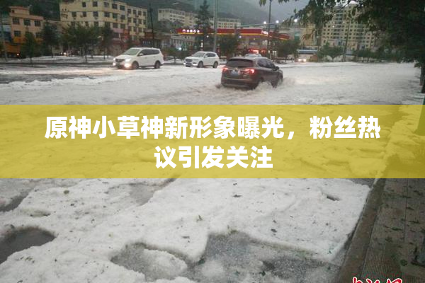 原神小草神新形象曝光，粉丝热议引发关注