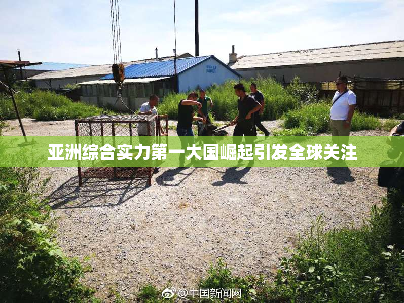 亚洲综合实力第一大国崛起引发全球关注