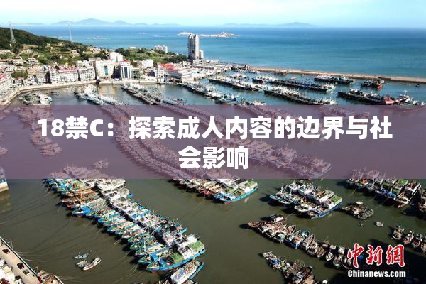 18禁C：探索成人内容的边界与社会影响