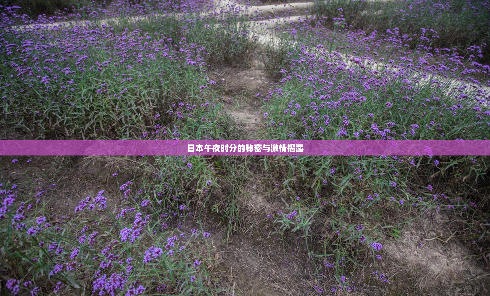 日本午夜时分的秘密与激情揭露