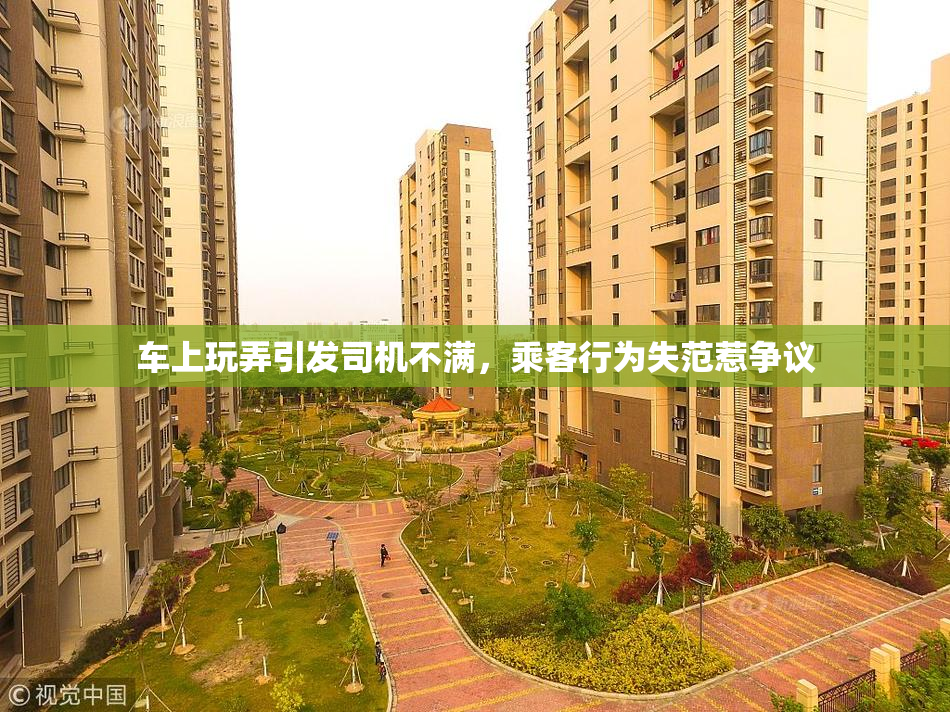 车上玩弄引发司机不满，乘客行为失范惹争议