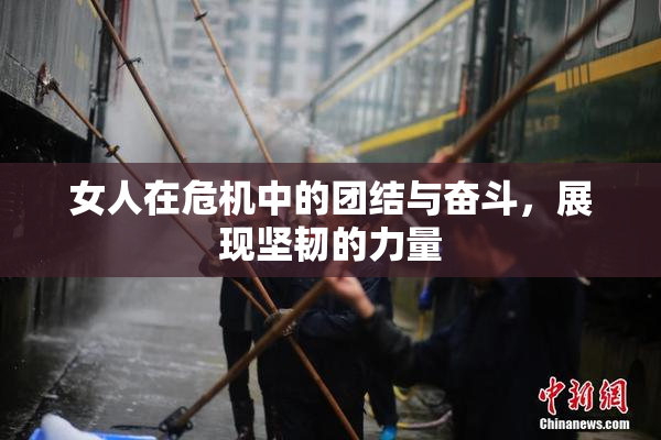 女人在危机中的团结与奋斗，展现坚韧的力量