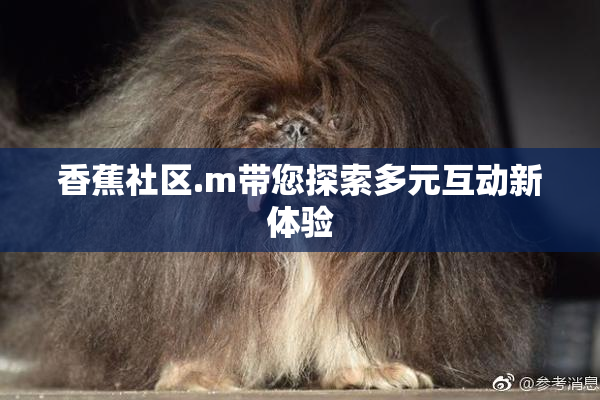 香蕉社区.m带您探索多元互动新体验