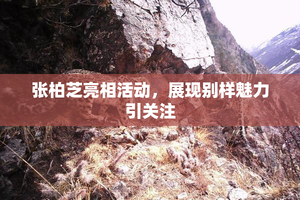 张柏芝亮相活动，展现别样魅力引关注
