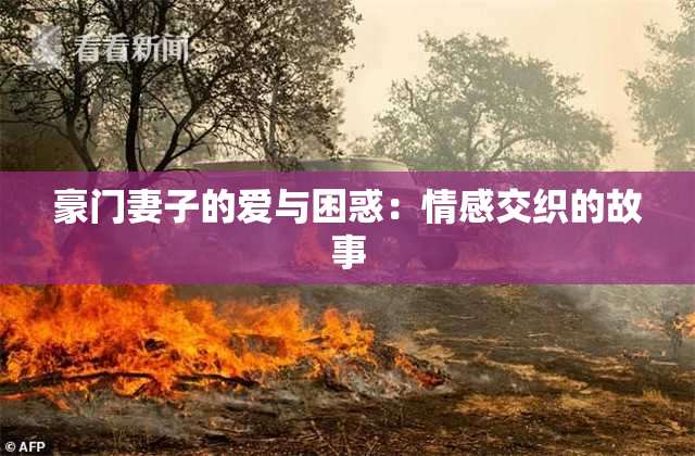 豪门妻子的爱与困惑：情感交织的故事
