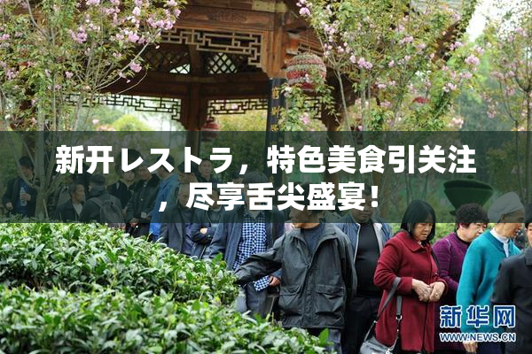 新开レストラ，特色美食引关注，尽享舌尖盛宴！