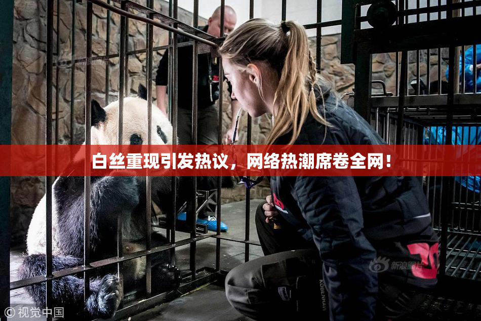 白丝重现引发热议，网络热潮席卷全网！