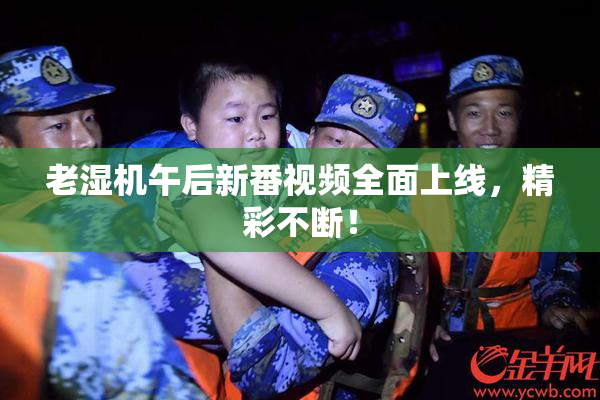 老湿机午后新番视频全面上线，精彩不断！