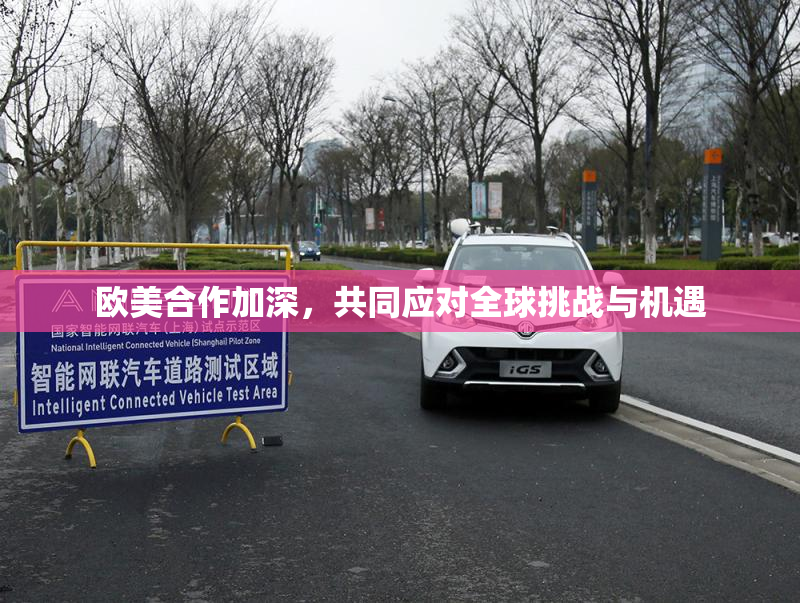 欧美合作加深，共同应对全球挑战与机遇