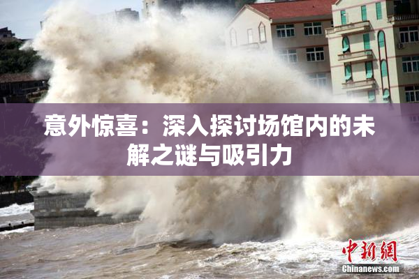 意外惊喜：深入探讨场馆内的未解之谜与吸引力