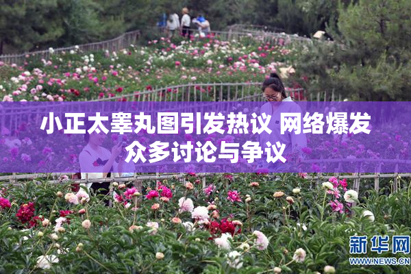 小正太睾丸图引发热议 网络爆发众多讨论与争议