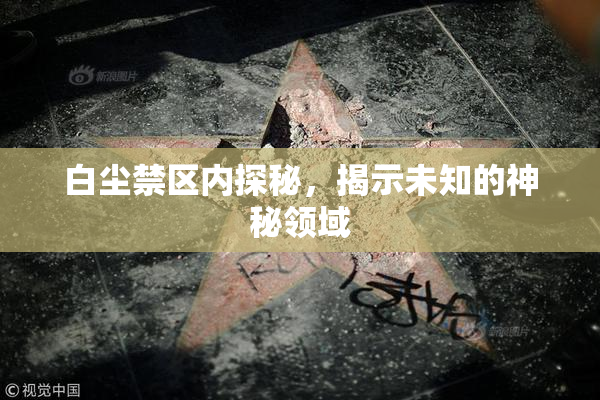 白尘禁区内探秘，揭示未知的神秘领域
