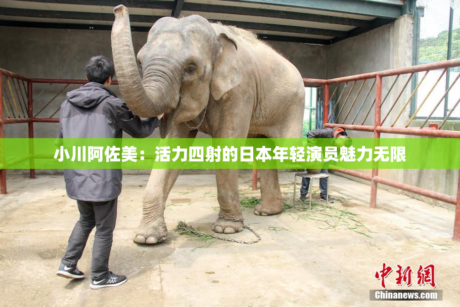 小川阿佐美：活力四射的日本年轻演员魅力无限