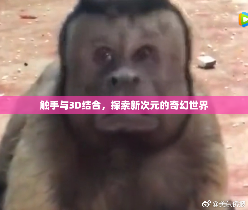 触手与3D结合，探索新次元的奇幻世界