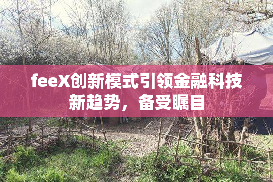 feeX创新模式引领金融科技新趋势，备受瞩目