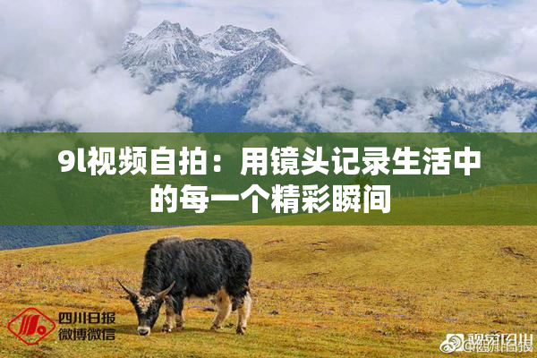 9l视频自拍：用镜头记录生活中的每一个精彩瞬间