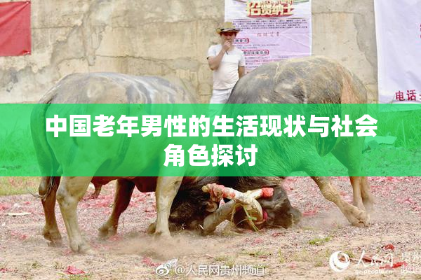 中国老年男性的生活现状与社会角色探讨