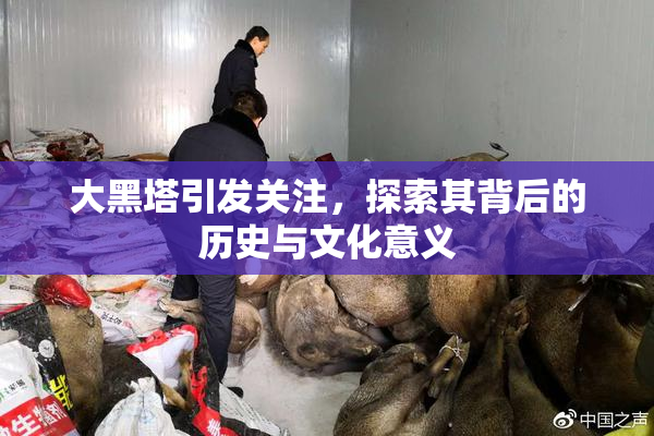 大黑塔引发关注，探索其背后的历史与文化意义
