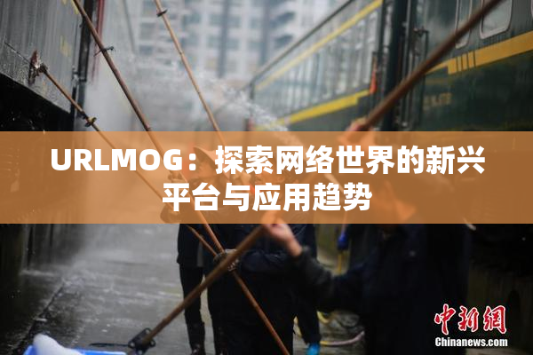 URLMOG：探索网络世界的新兴平台与应用趋势
