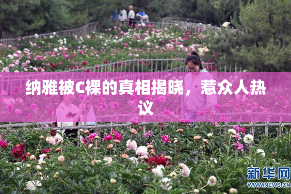 纳雅被C裸的真相揭晓，惹众人热议