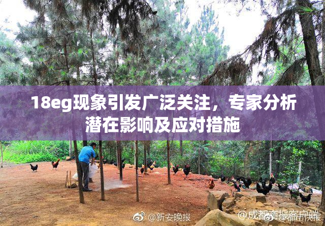 18eg现象引发广泛关注，专家分析潜在影响及应对措施