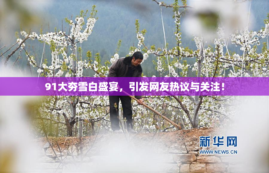 91大夯雪白盛宴，引发网友热议与关注！