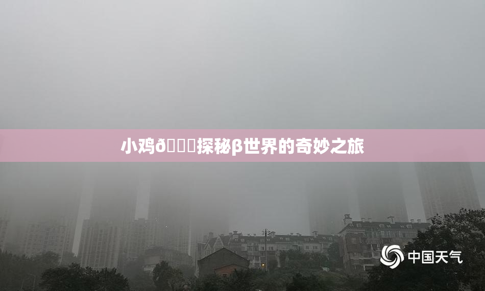 小鸡🐔探秘β世界的奇妙之旅
