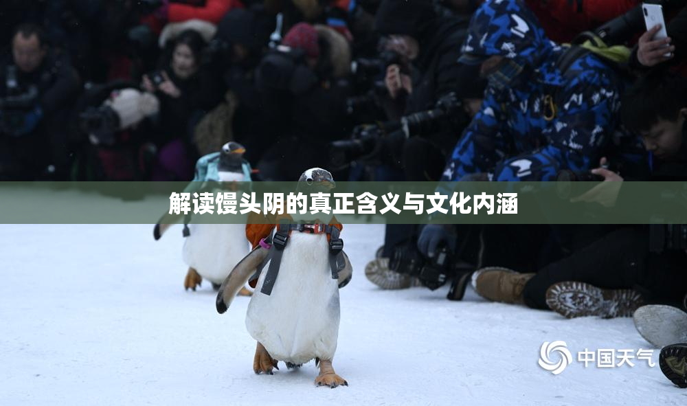 解读馒头阴的真正含义与文化内涵