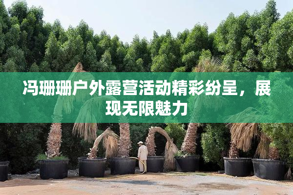 冯珊珊户外露营活动精彩纷呈，展现无限魅力