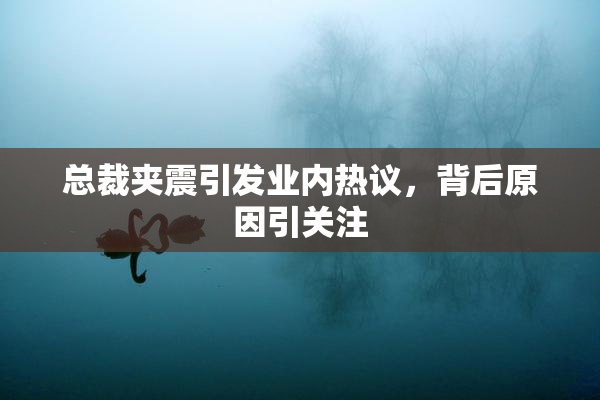总裁夹震引发业内热议，背后原因引关注