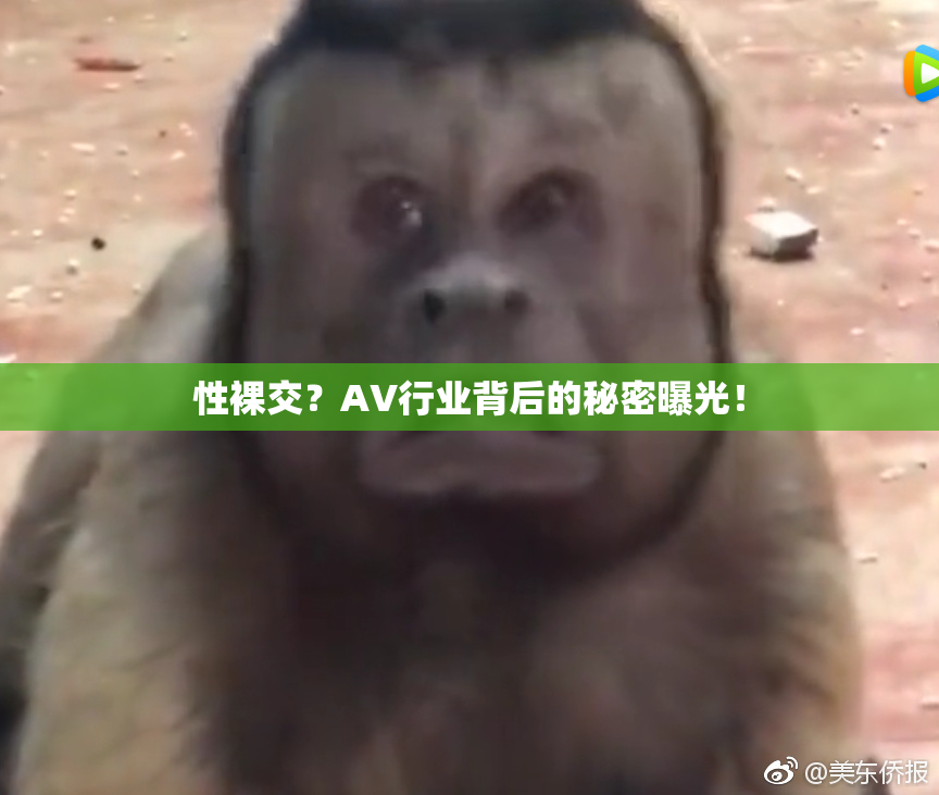 性裸交？AV行业背后的秘密曝光！