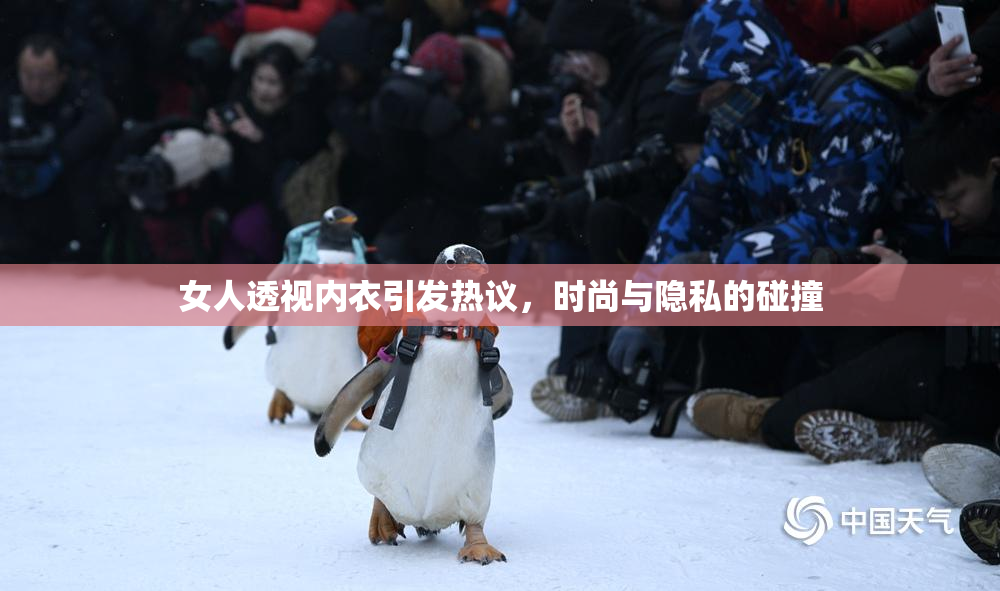 女人透视内衣引发热议，时尚与隐私的碰撞