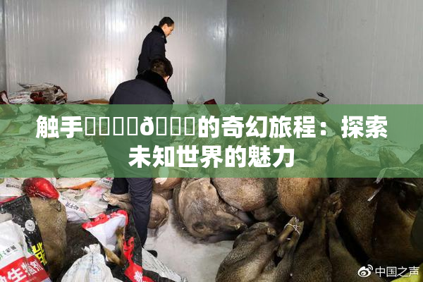 触手❌‌❌‌🔞的奇幻旅程：探索未知世界的魅力