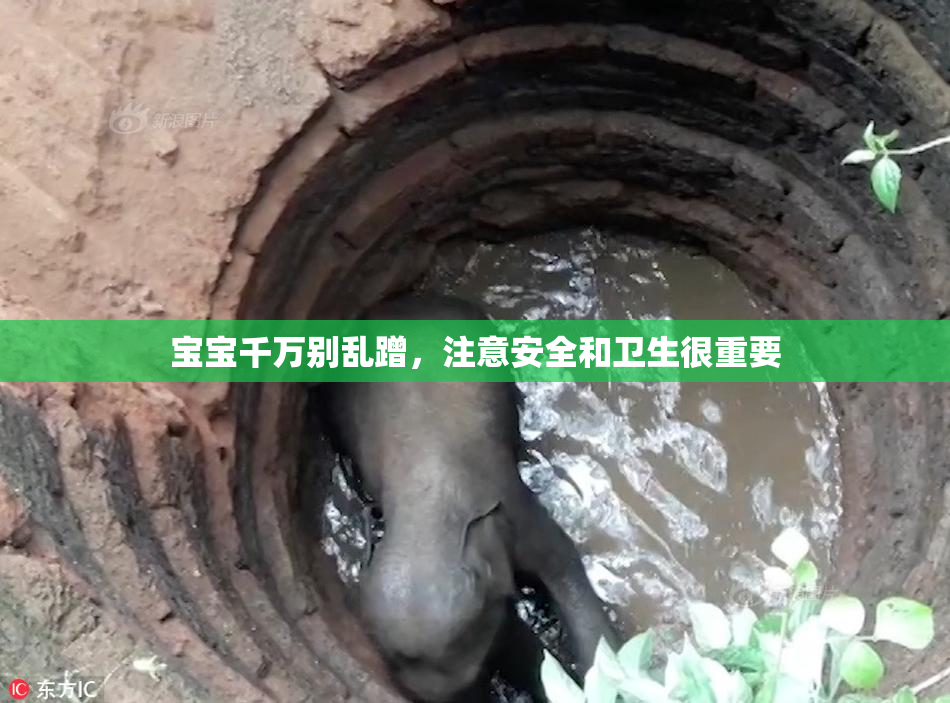 宝宝千万别乱蹭，注意安全和卫生很重要