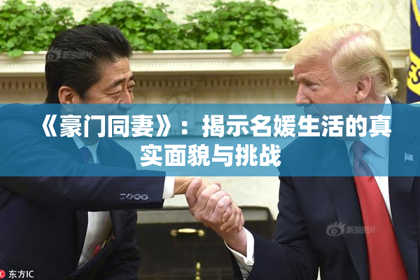 《豪门同妻》：揭示名媛生活的真实面貌与挑战