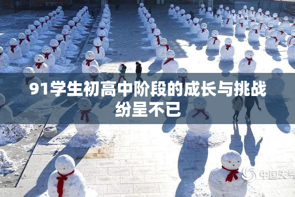 91学生初高中阶段的成长与挑战纷呈不已