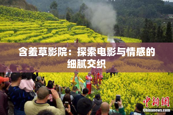 含羞草影院：探索电影与情感的细腻交织