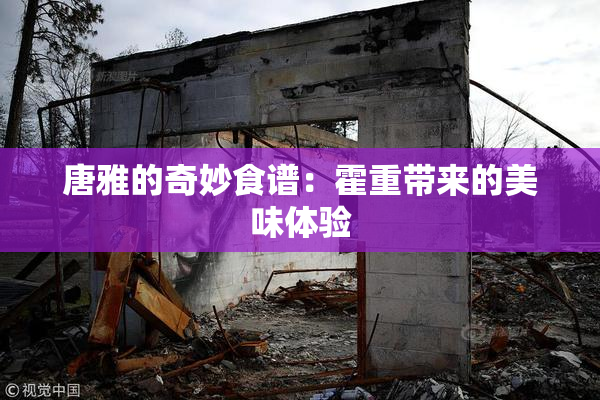 唐雅的奇妙食谱：霍重带来的美味体验