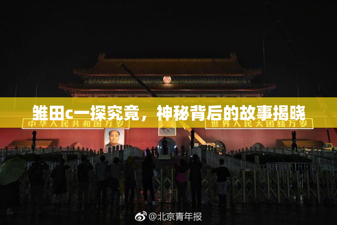 雏田c一探究竟，神秘背后的故事揭晓