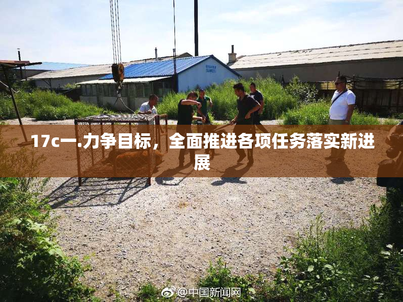 17c一.力争目标，全面推进各项任务落实新进展
