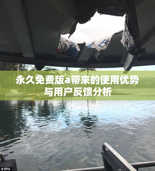 永久免费版a带来的使用优势与用户反馈分析